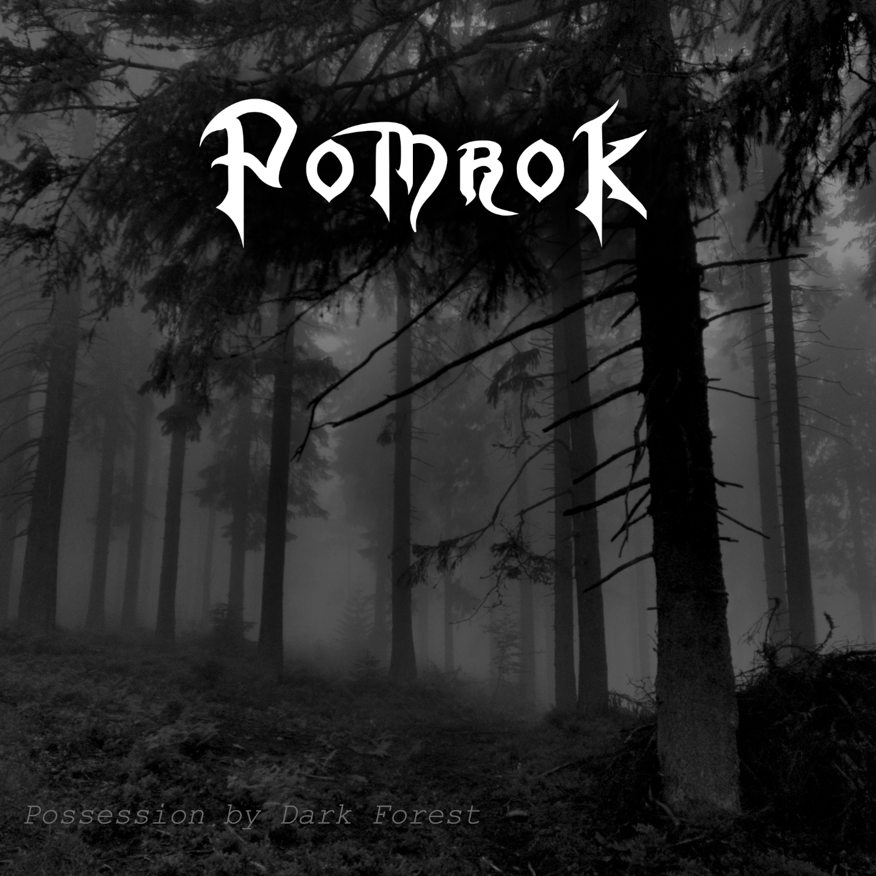 okładka Possession by Dark Forest